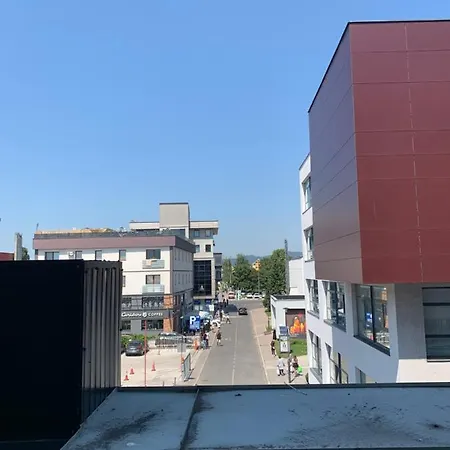 Arg * Sarajevo